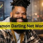 damon darling net worth